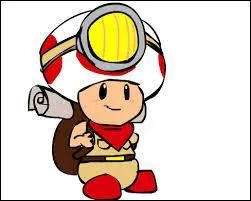 Combien d'toiles vertes le capitaine Toad nous rapporte-t-il ?