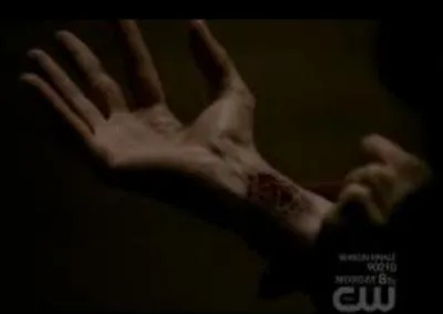 Quel est l'antidote  une morsure de loup-garou pour un vampire ?