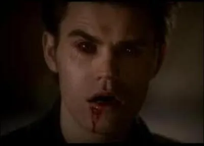 Quel tait le surnom de Stefan lorsqu'il tait un tueur en srie ?