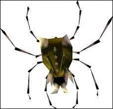 Que nous donne l'homme dans la maison des Skultulas,  chaque fois qu'on vient aprs avoir dtruit toutes les Skultulas d'or ?