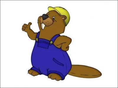 Dans quelles espces tonnantes classe-t-on le castor ?