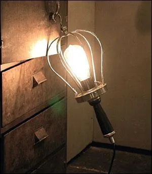 Travailleur de jour, de nuit, comme quoi le castor est-il considr ?