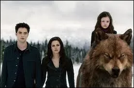 Ce sont les perspectives d'avenir qui manquent le plus  Rosalie.