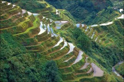 De quand datent les rizires de Banaue, aux Philippines ?