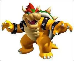 Bowser est-il le boss final ?