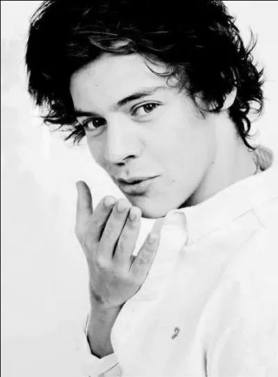 Quel est le nom complet de Harry ?