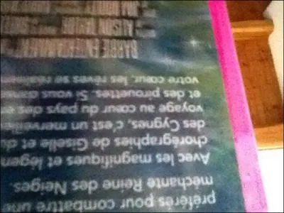 Existe-t-il  La Reine des neiges  ?