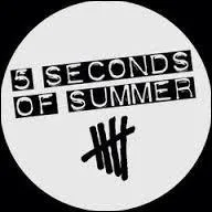 Qui a eu l'ide d'appeler le groupe  5 Seconds Of Summer  ?
