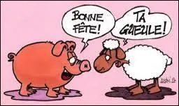 Qui ne mange pas de cochon ?