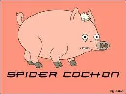 Qui a adopt un cochon qui peut marcher au plafond ?