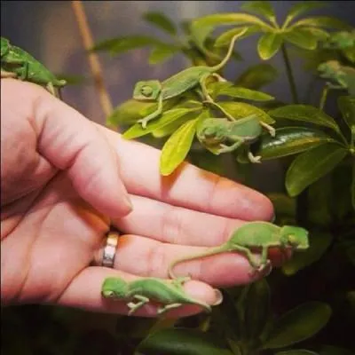 Tchez de ne pas vous faire coller sur cette dernire rponse !