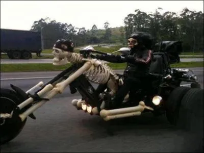 Trois films dont Nicolas Cage tient le rle principal, lequel choisissez-vous ?