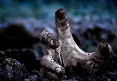 Le zombie est apparu dans les jeux dans l'opus ...