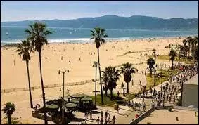 Quelle plage fictive est le reflet de Venice Beach ?