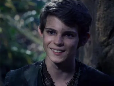 Qui est Henry pour Peter Pan ?