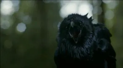 Qui essaie d'abattre la corneille aux trois yeux d'une flche ?