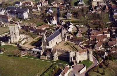 Quel est ce chteau d'Indre-et-Loire qui prsente un donjon de 35 mtres et qui est renomm pour ses collections prhistoriques ?