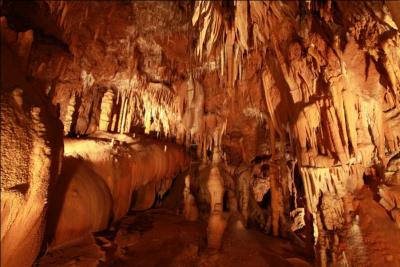 L'aven d'Orgnac dcor d'immenses stalactites et stalagmites a t dcouvert le 19 aot 1935 par Robert de Joly, dans quel dpartement pourrez-vous le visiter ?