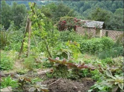 Cette maison, je suis sr que je la ... plus facilement si j'amnage mieux le jardin.
