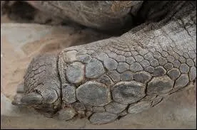 Rien ne sert de courir ...