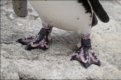 Trouver la bonne rponse vous vitera de l'tre !