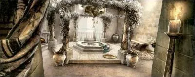 Aprs la mort de leur hte, ils vivent pauvrement, parcourant les cits libres et tentant d'chapper aux tueurs envoys  leurs trousses par l'Usurpateur. Qui les accueille finalement ?