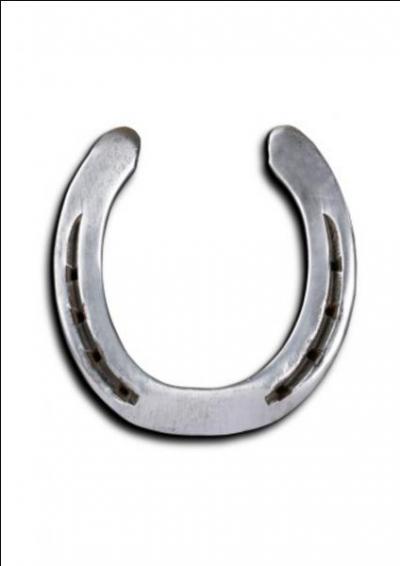 A quoi le fer  cheval sert-il en gnral ?