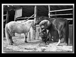 A quelle frquence faut-il renouveler la ferrure ?