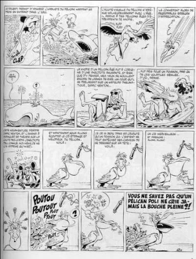 Quel sorte de plican est voqu parmi elles dans la rubrique--brac sur le plican ?