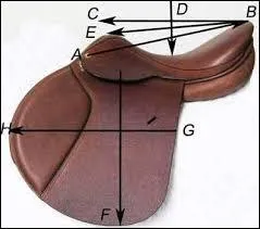 Comment s'appelle la partie E ? (ne pas tenir compte des flches)