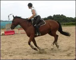 Pour partir au galop  main gauche on doit ...