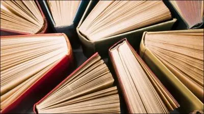 En plus de s'tre vendu sur Amazon  plus d'exemplaires que  Harry Potter , qu'a de spcial le livre  quoi pensent les hommes,  part le sexe ?