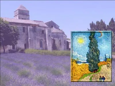 Intern,  sa demande,  l'Asile Saint-Paul de Mausole prs de St-Rmy de Provence, il tente de s'empoisonner plusieurs fois durant son sjour, notamment avec des tubes de peinture jaune.