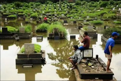 L'asticot est couramment utilis dans la pche de loisir, de quel insecte est-il la larve ?