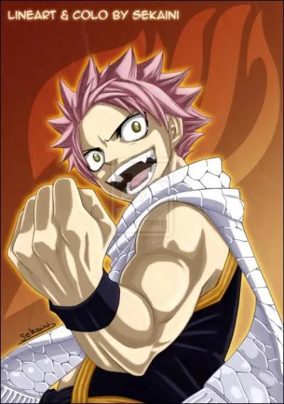 Quelle magie Natsu utilise-t-il ?