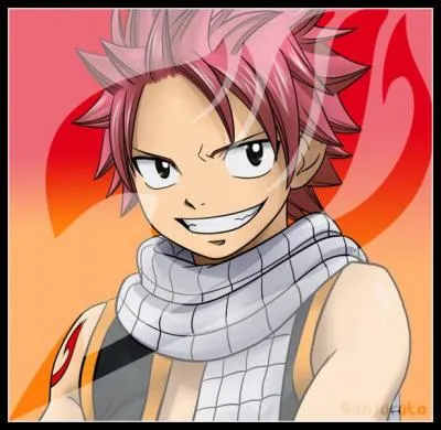 Comment dcrire le caractre de Natsu ?