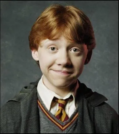 Dans Harry Potter 2, que dit Ron à Harry juste après avoir parlé à Hagrid ?