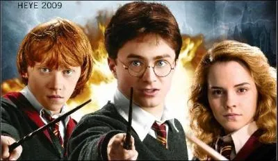 Dans Harry Potter 6, Harry dit qu'Il faut qu'il aille chez Hagrid mais Hermione lui dit non, il doit aller voir le professeur Slughorn. Harry lui répond qu'il sait mais il a l'impression que c'est chez Hagrid qu'il faut être ce soir ! Ron lui demande s'il en est sûr. Qu'est-ce qu'Harry répond alors ?