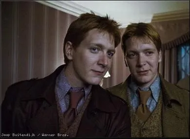 Dans Harry Potter 7, partie 1, que disent les jumeaux Weasley quand ils ont bu le polynectar ?