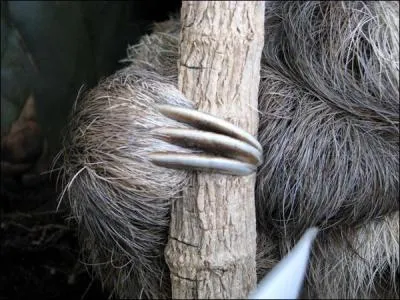 Prenez votre temps, rien ne presse !