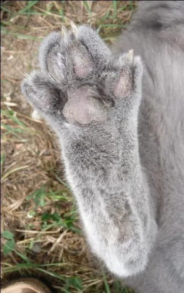 J'espre que la rponse  cette photo vous portera bonheur !