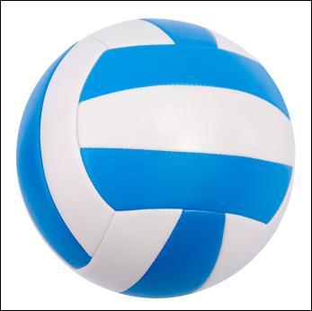 Combien de joueurs y a-t-il dans une quipe de volleyball professionnelle ?