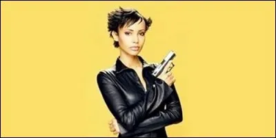 Quelle miss France incarne Léa Parker dans la série du même nom ?