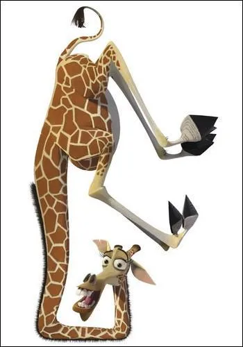 Et l ?  Stupfaction au zoo : La girafe a disparu !  .