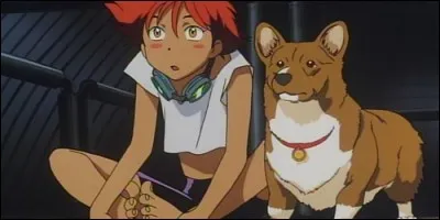 Comment s'appelle le chien qui accompagne les héros dans "Cowboy Bebop" ?