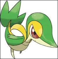 De quel type est ce pokmon ?