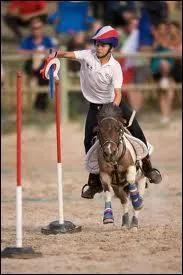 Quelle est cette discipline questre ?