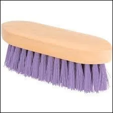 Comment s'appelle cette brosse ?