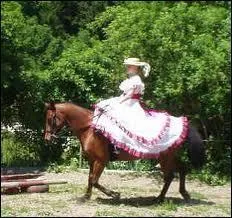 Comment s'appelle cette discipline questre ?