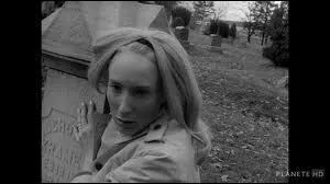 Premier opus de la clbre saga de Georges A. Romero :